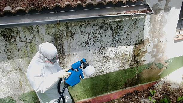Top rated local Attic Mold Removal specialists in Cochranville, PA
